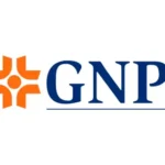 t_gnp-grupo-nacional-provincial9351.logowik.com t_gnp-grupo-nacional-provincial9351.logowik.com